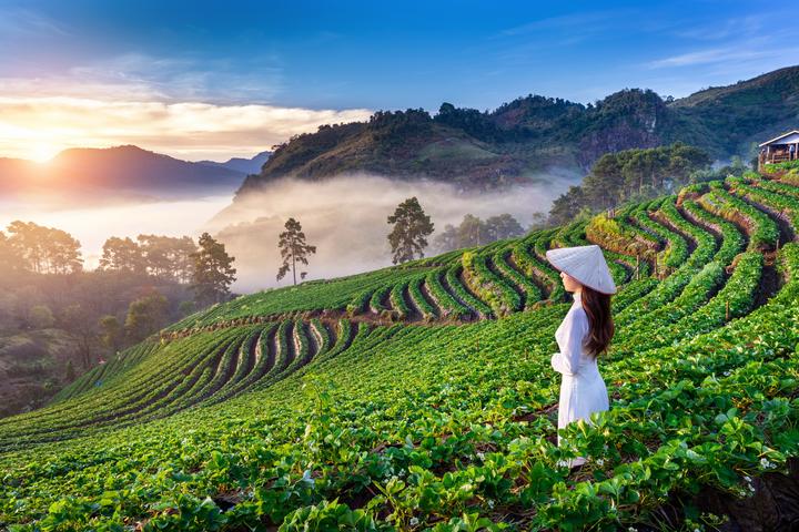 Tại sao nên chọn IVF? IVF là một phương pháp điều trị hiếm muộn hiệu quả cho các