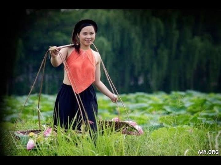 Bánh Ngọt, Thu Nhập Khỏe: Kiếm Tiền Từ Hotspot Matrix