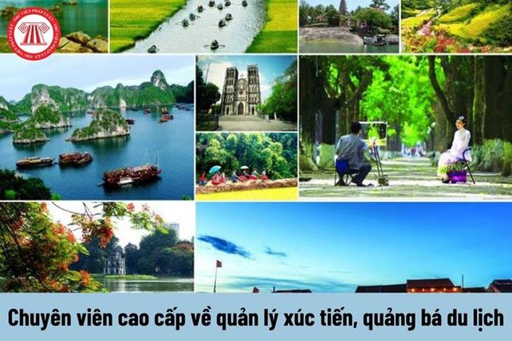 Khởi nghiệp Video Ngắn Vốn Ít, Lãi Cao cùng Hotspot Matrix