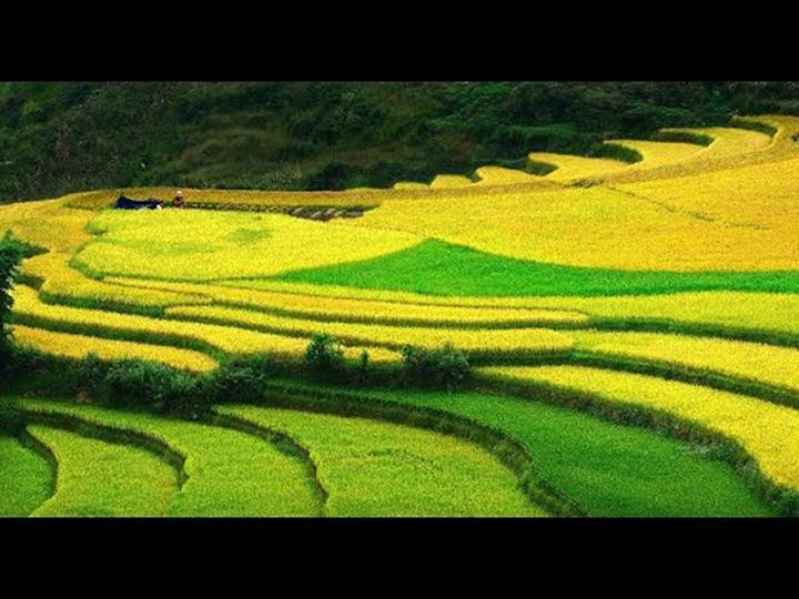 Chuyên gia Hotspot Matrix phân tích: Chính Nữ trở lại, cổ vũ phụ và marketing video