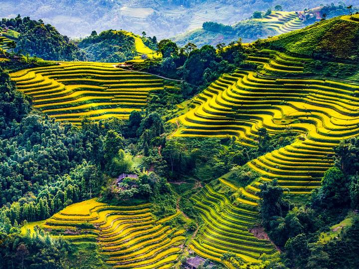 Hotspot Matrix: Biến Dương Vũ - Đạo diễn GenZ đứng thành cơ hội marketing đột phá