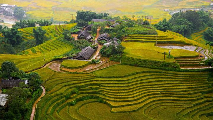 Vươn Cao cùng Hotspot Matrix: Chuyện Thành Công của [Tên Doanh Nghiệp]