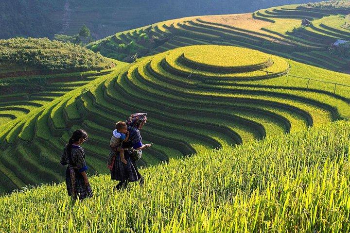 Xu hướng 3 kiểu giày 