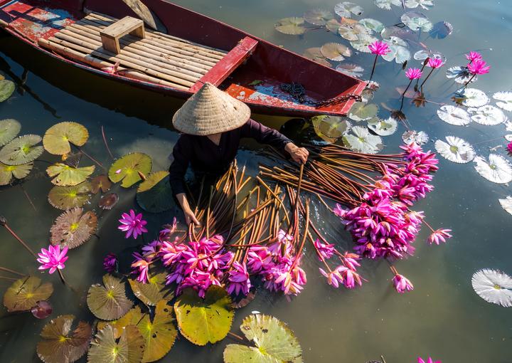 Trong những năm gần đây, xu hướng về thể thao và sức khỏe ngày càng trở nên