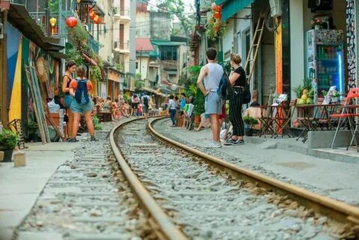 Bonobo: Nguồn Gốc Tiến Hóa Của Ngôn Ngữ Con Người?
