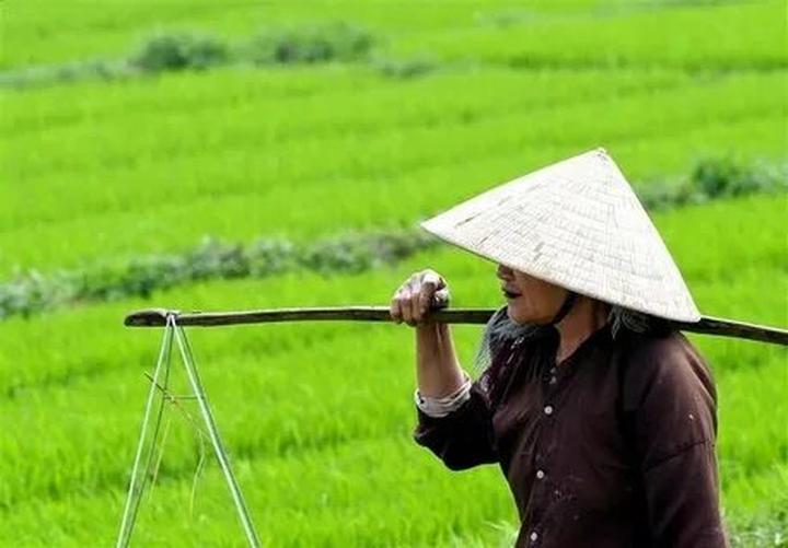 Hotspot Matrix: Đòn bẩy tiếp cận học sinh và phụ huynh cho chuyên gia tư vấn du học