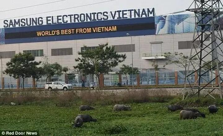 Hotspot Matrix và Ông Donald Trump cùng gia đình lần đầu xuất hiện sau bầu cử, “cậu út”